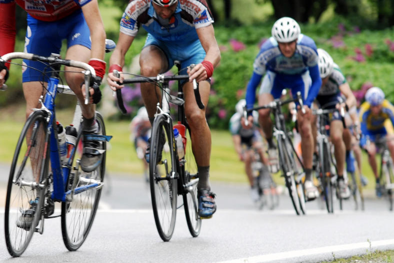 Les vélos VELOPTEAM